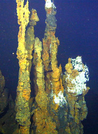Image of polymetallic chimney also found in the Kermadec Arc during the HURL 2005 South Pacific Expedition.